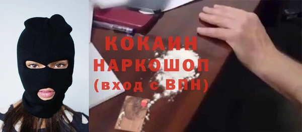 мдпв Новозыбков