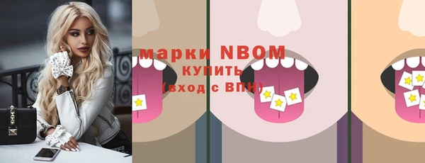 соль ск Вяземский