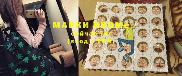 мдпв Новозыбков