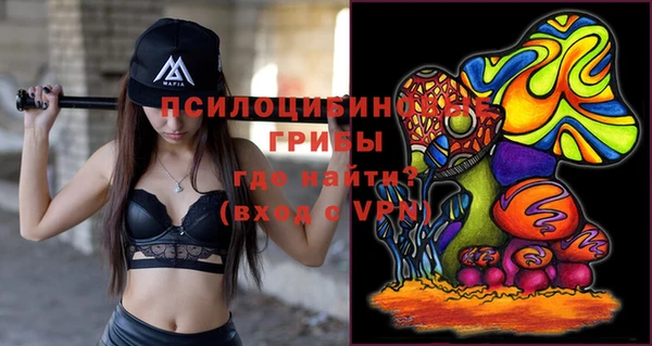 мдпв Новозыбков