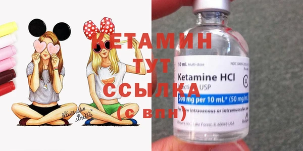 мдпв Новозыбков