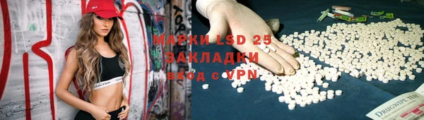 соль ск Вяземский