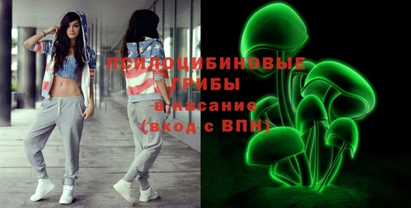 соль ск Вязьма