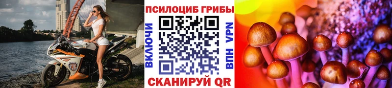 Галлюциногенные грибы ЛСД цена наркотик mega вход Пестово